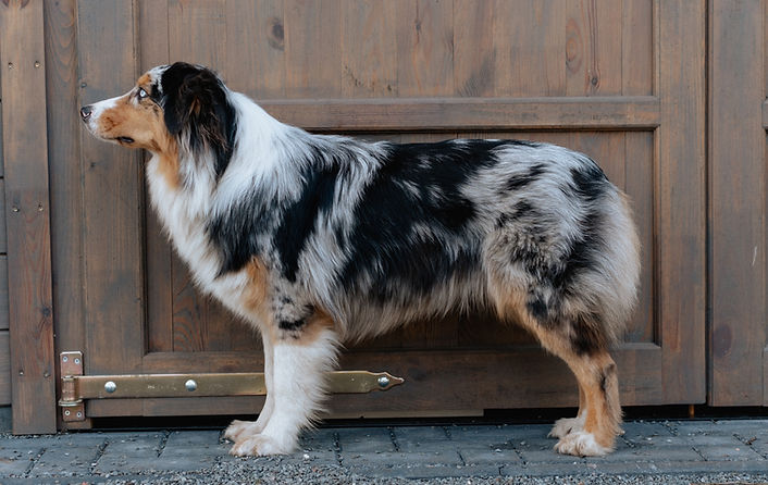 WhatsApp Image 2023-01-16 at 16.39.19.jpeg