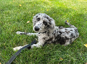 IMG_4013_edited.jpg