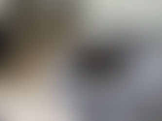 Dog relaxing calmly in a cozy crate