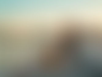 Owner and Dog enjoying sunset walk on Ringling Bridge