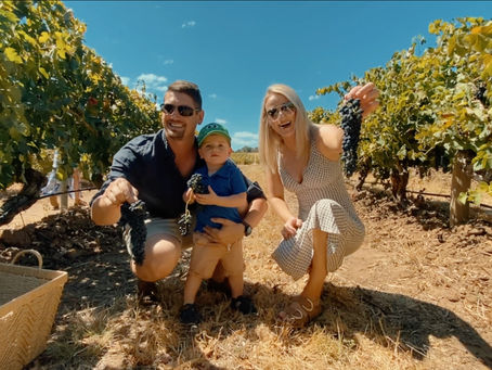 Unveiling the Essence: Experience the Vibrant Tradition of Kies Family Wines!