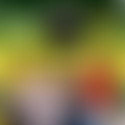 Volta do camarote Sumiu Uai está confirmada no Rodeio Show 2026 e o evento promete grandes atrações em Valparaíso de Goiás