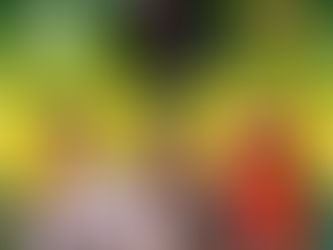 Volta do camarote Sumiu Uai está confirmada no Rodeio Show 2026 e o evento promete grandes atrações em Valparaíso de Goiás