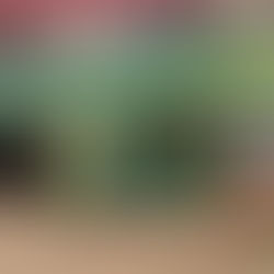 Biblioteca Municipal Cora Coralina: um espaço de acesso, cultura e oportunidades para todos