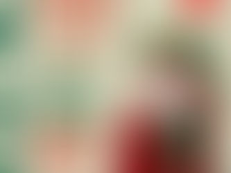 Shopping Sul recebe Papai Noel no dia 16 de novembro