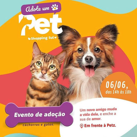 Adote um PET: Encontre um novo amigo no Shopping Sul