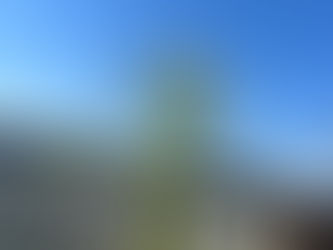 ３月のサロン案内日