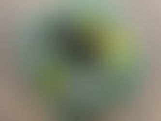 12月のサロン案内日