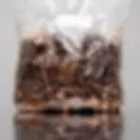 Shiitake Grow Kit (Lentinula edodes)