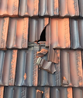 Broken roof tiles.jpg