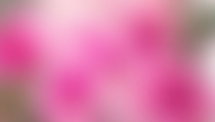 T’AWEEZ & TALISMAN