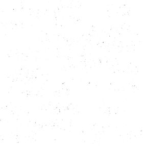 WHITE WITH GRAIN.jpg