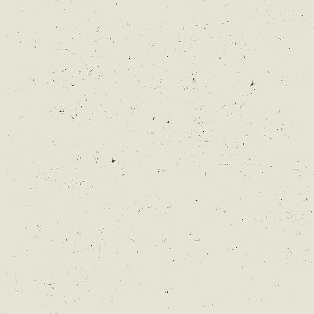 Untitled_Artwork 8.jpg