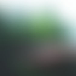 Let Go to Grow: Release What No Longer Serves You