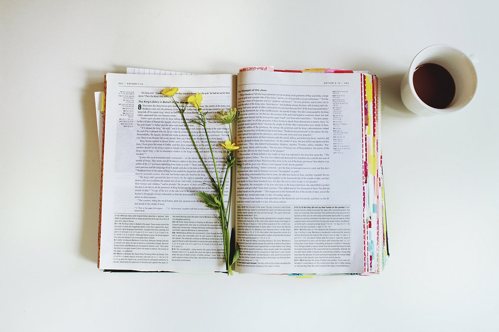 Old Testament Timeline Coffee and Bible Time Inc