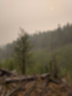 Smokey views