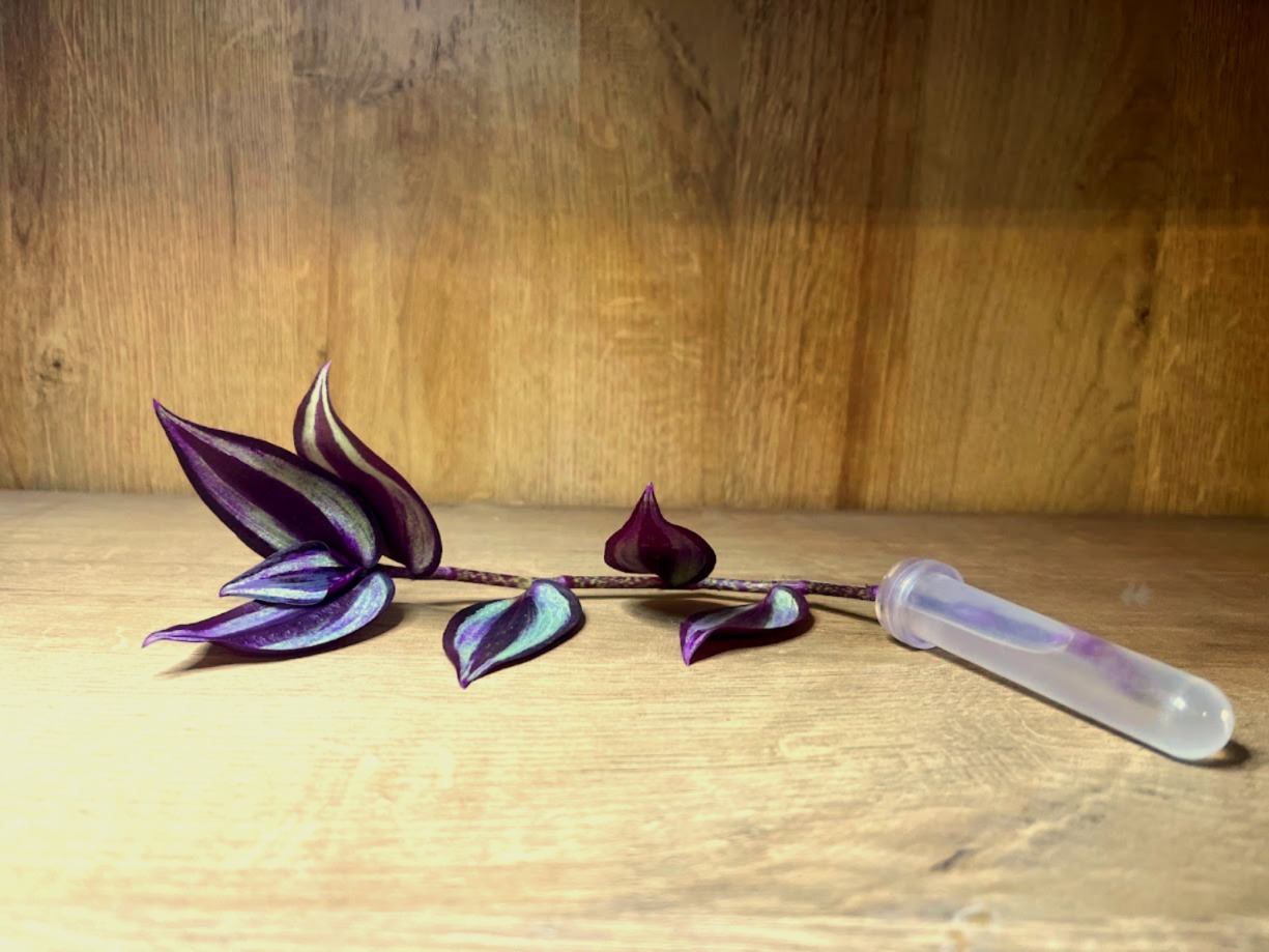 Writer: K&B Greenery