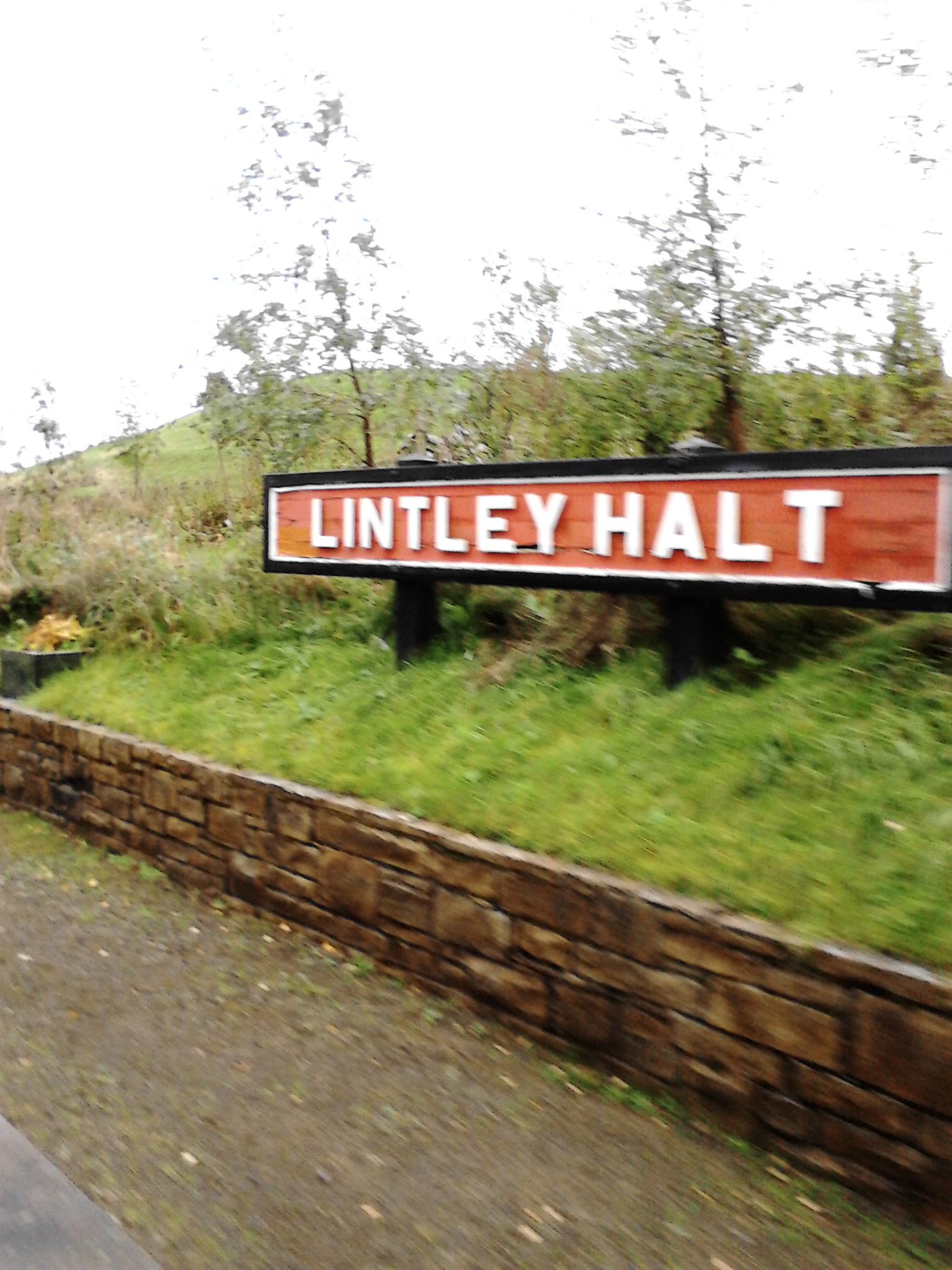 Lintley Halt