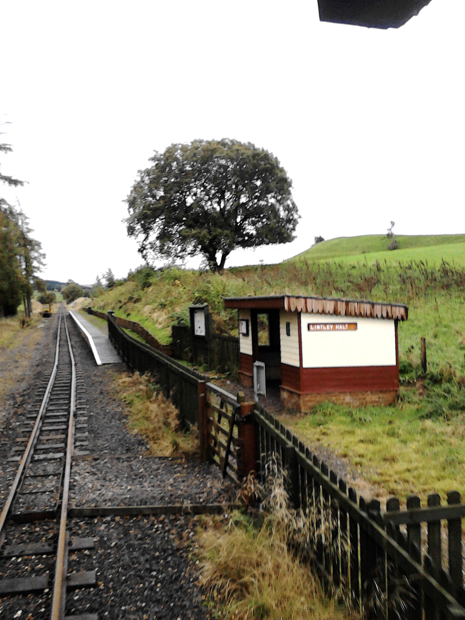 Lintley Halt