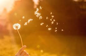 Energy Alchemy: Releasing Attachments
