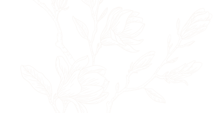 bespoke botanical illustration by lolli.p