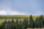 DSCF0422.jpg