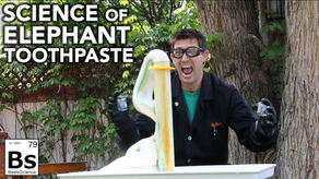 Elephant Toothpaste Demonstration - Science with Hydrogen Peroxide