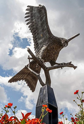 The statue of the Red Kite in the town square