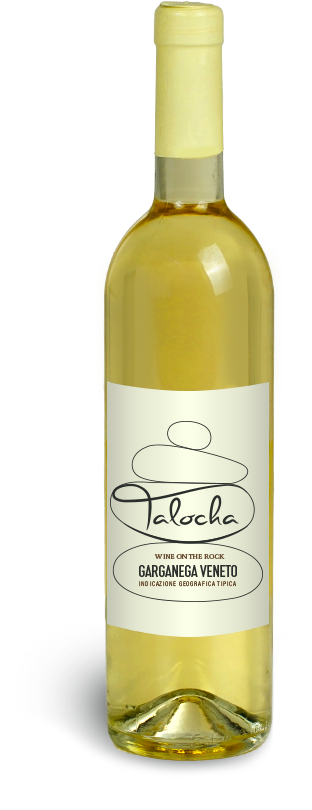 talocha vino garganega