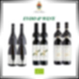 VINO E OLIO EXTRA ULTRA SECCO - GUSTO BIOLOGICO