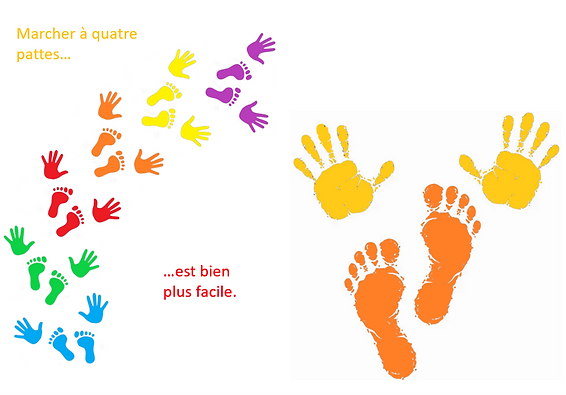 Image5.png