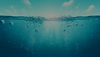 DALL·E 2024-04-19 13.44.16 - Design a beautiful and tranquil background for a website, fea