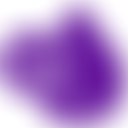 OxyPet Case Study 1 Blog: 53% Faster Absorption Rate Than Standard Bottled Water