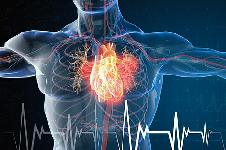 electrical-activity-heart_edited.jpg
