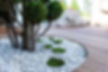 AdobeStock_354152559.jpeg