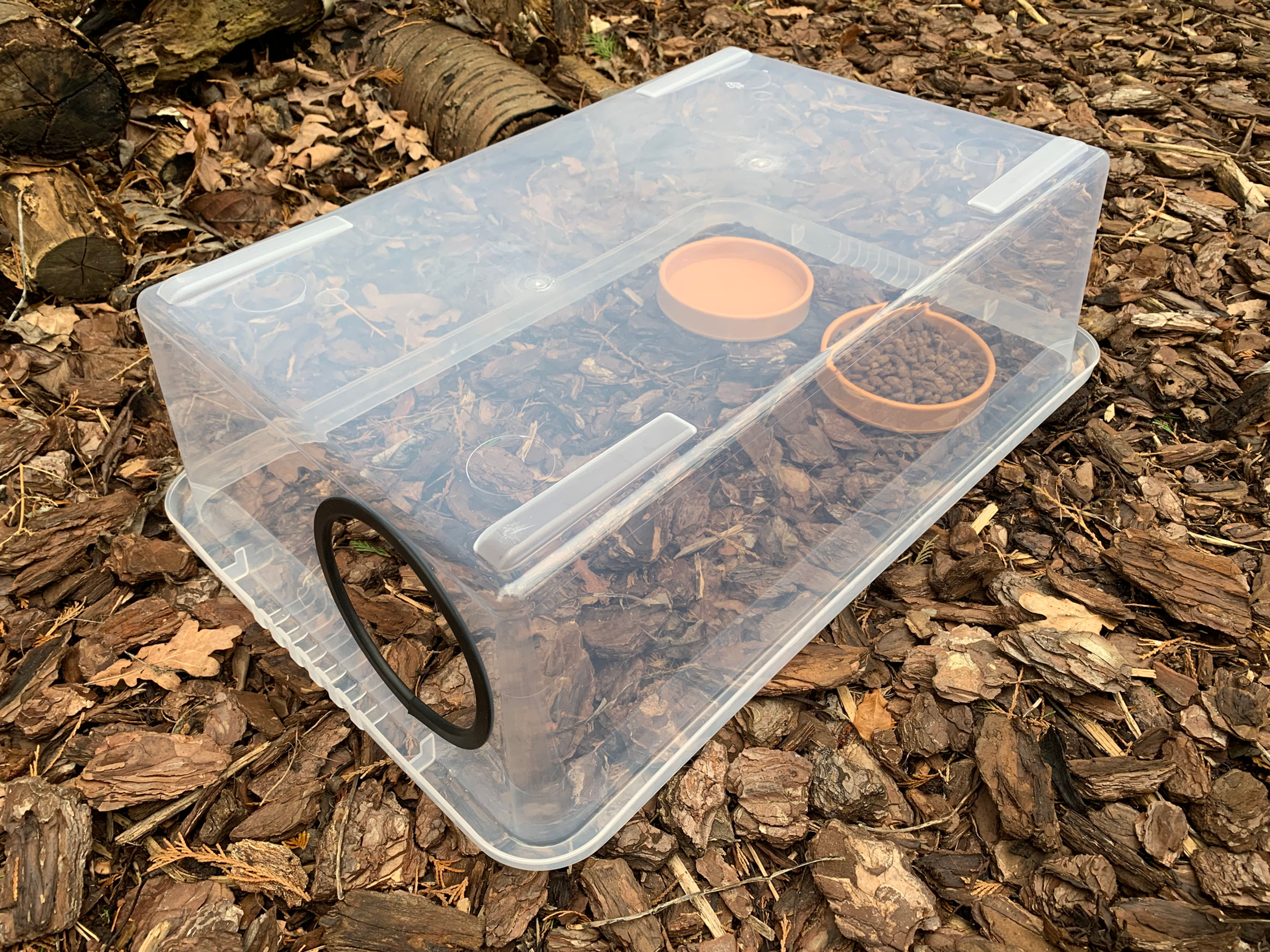 Hedgehog Feeding Station - contact rescue to order - made to order