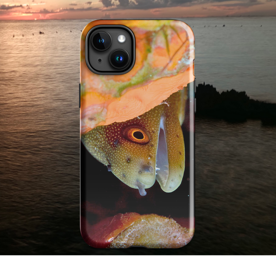 goldentail moray eel iphone case