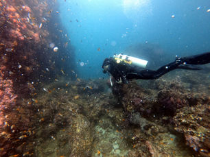 🌊 Scuba Diving Phi Phi Island, Thailand: A Journey Beneath Paradise