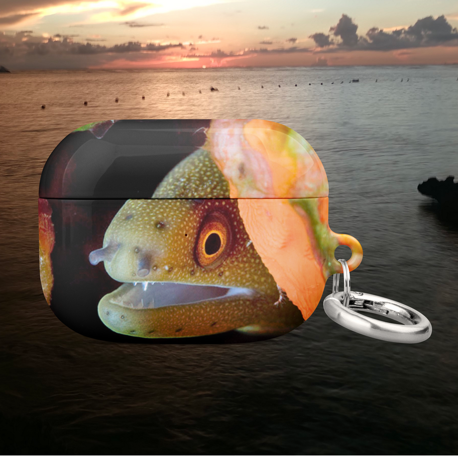 goldentail moray eel