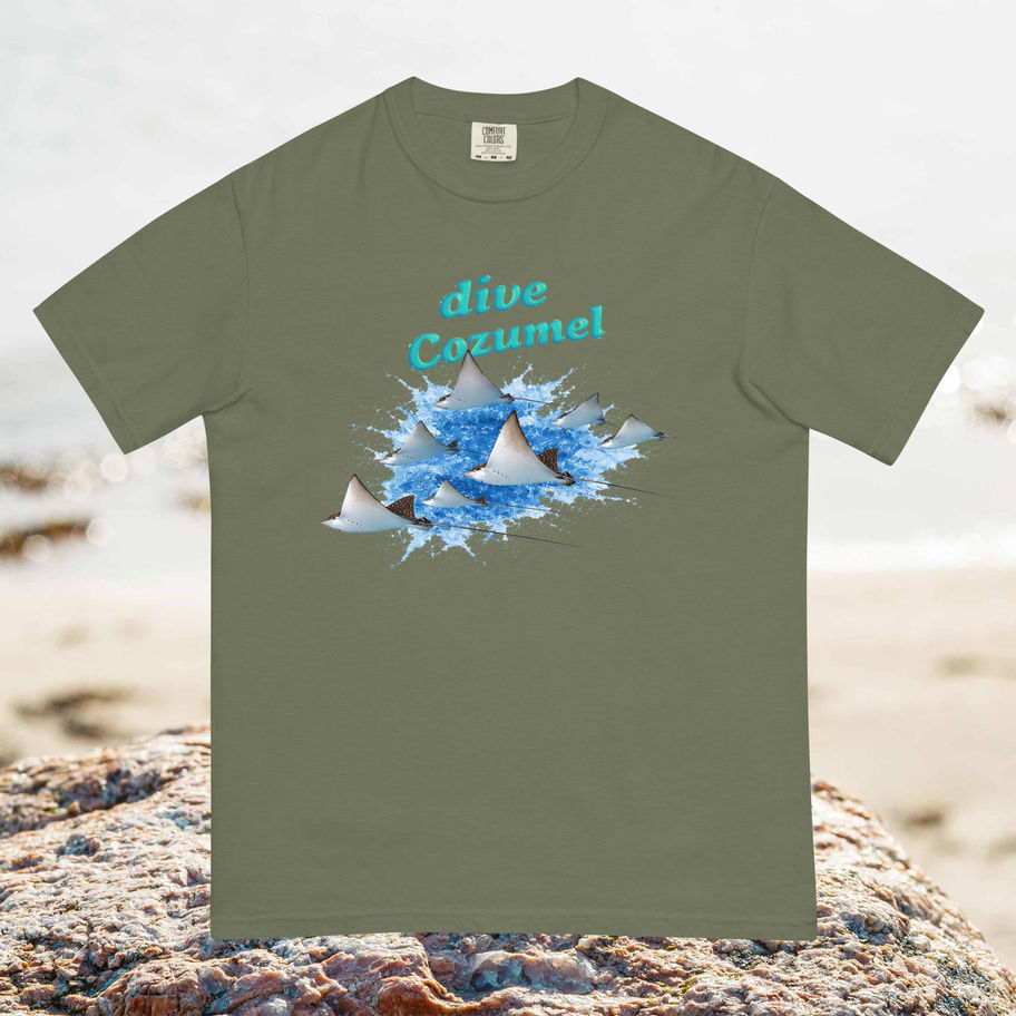 dive cozumel t-shirt
