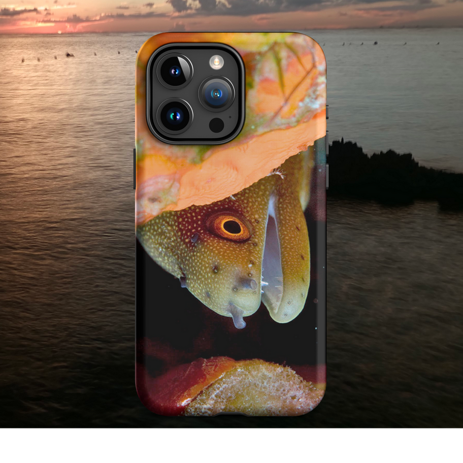 goldentail moray eel iphone case