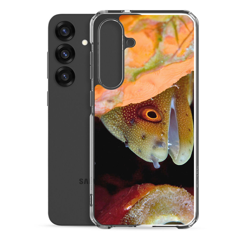 golden tail moray eel samsung phone case