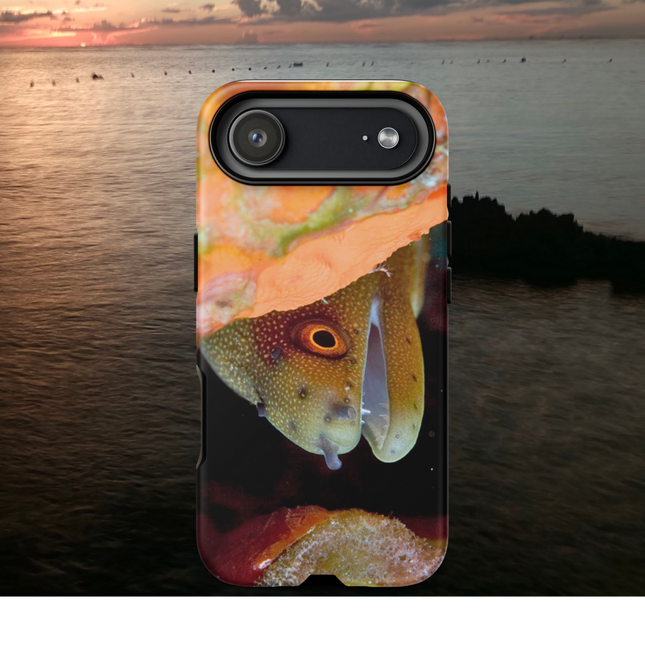 goldentail moray eel iphone case
