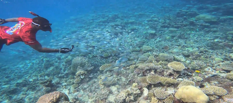 Snorkeler in red shirt films a colorful coral reef underwater in clear blue water.