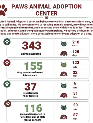 Rescue report.png