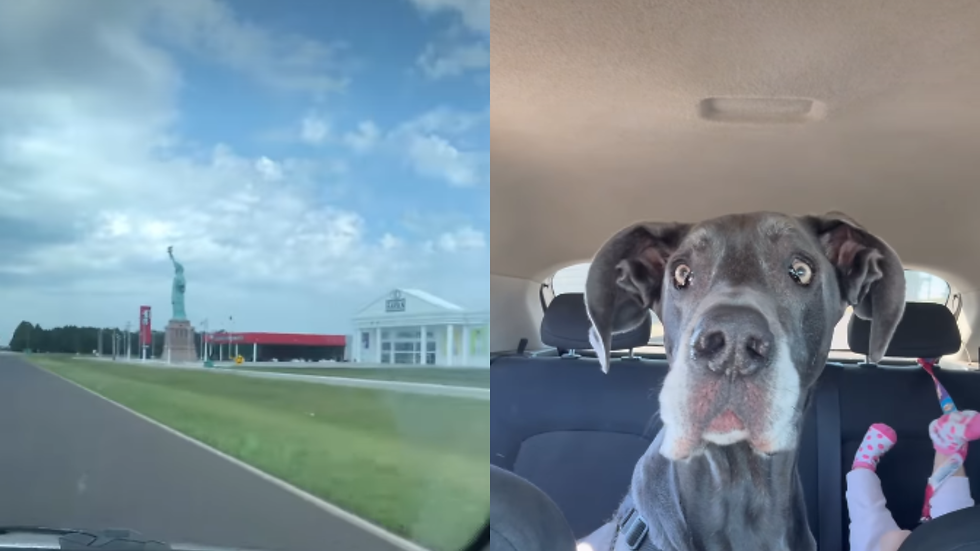 Vídeo registra reencontro de Dogue Alemão com estátua que ele teme há anos