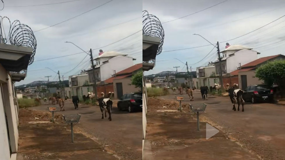 Foto: Reprodução/TikTok