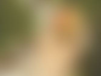 En utforsking av syndefallet