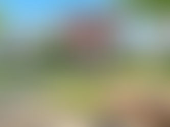 Why Cleveland Real Estate Continues to Outperform , Even in an Uncertain Market