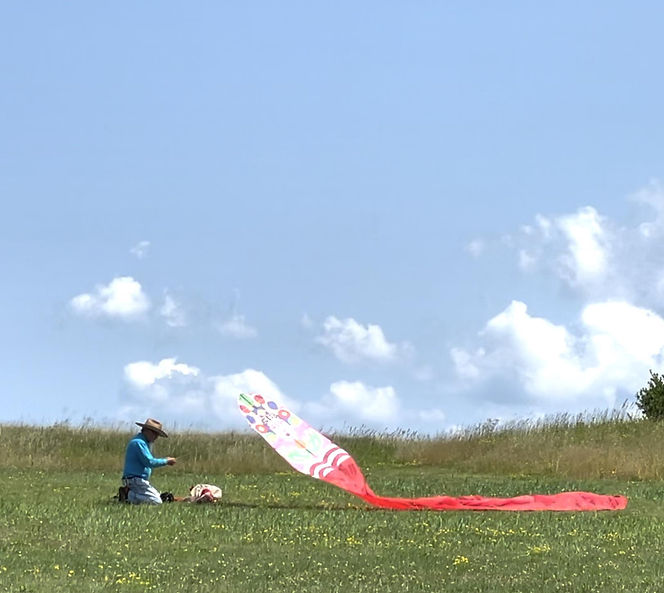 Kite Man - The Tender WebpageDocumentary Film Kite Man - Hing Yee by Yolanda He Yang.jpg